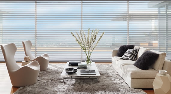 room with the silhouette shades